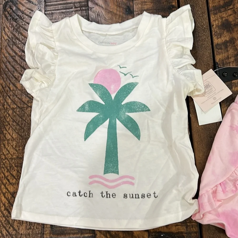 Grayson Mini shirt Flutter sleeve pink shorts set size 3T